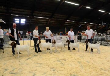 Inschrijving landelijke geitenkeuring geopend