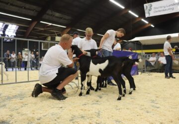 Recordaantal van 226 geiten in de ring