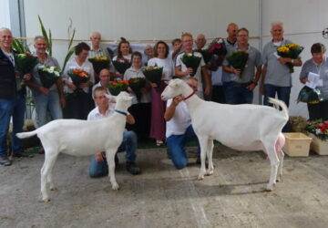 Witte geiten leveren Nationaal kampioenen