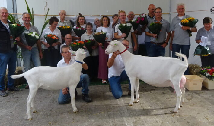 Witte geiten leveren Nationaal kampioenen